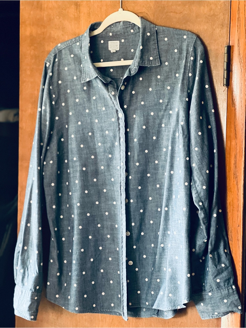 J. Crew Denim Polka Dot Button-Down Shirt